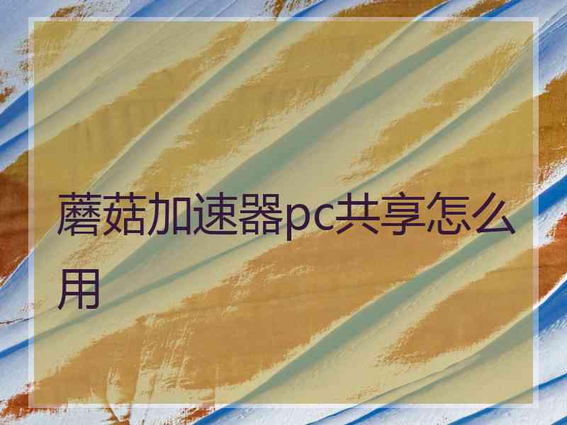 蘑菇加速器pc共享怎么用