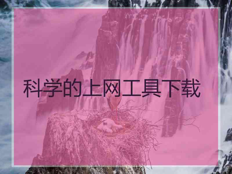 科学的上网工具下载