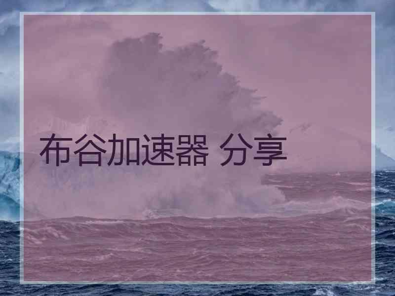 布谷加速器 分享