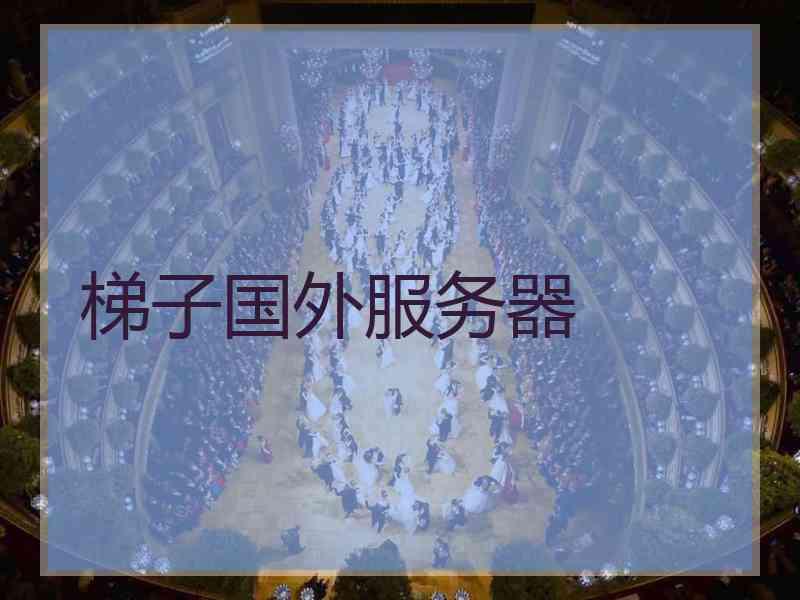 梯子国外服务器
