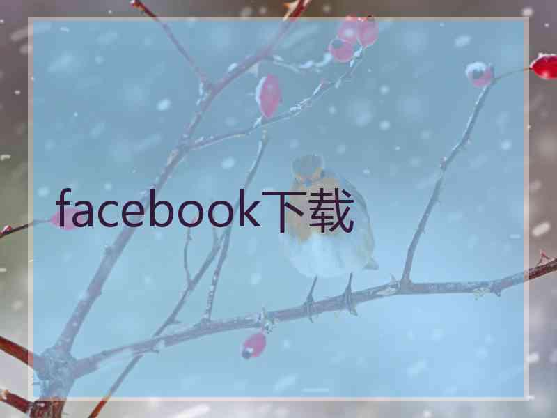 facebook下载
