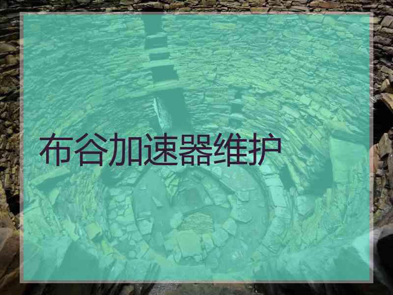 布谷加速器维护