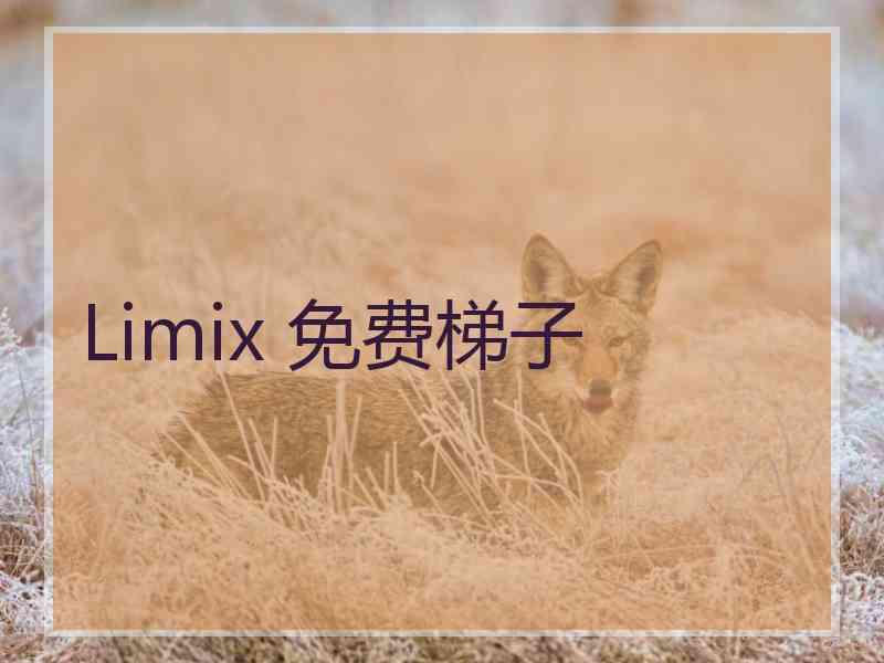 Limix 免费梯子