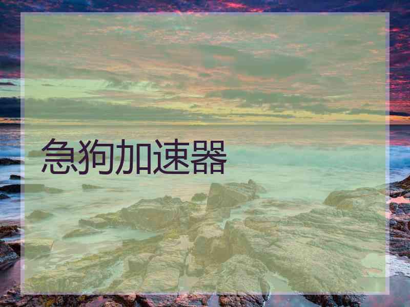 急狗加速器