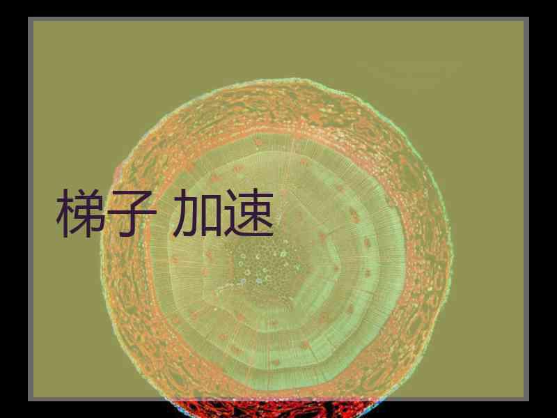 梯子 加速