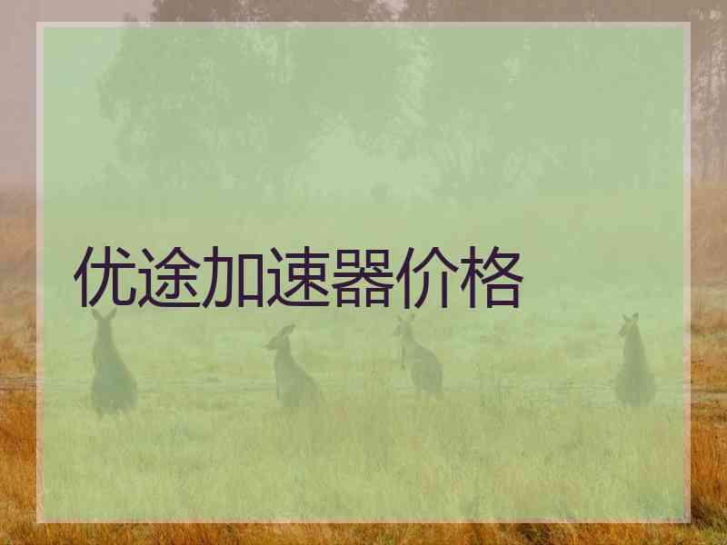 优途加速器价格