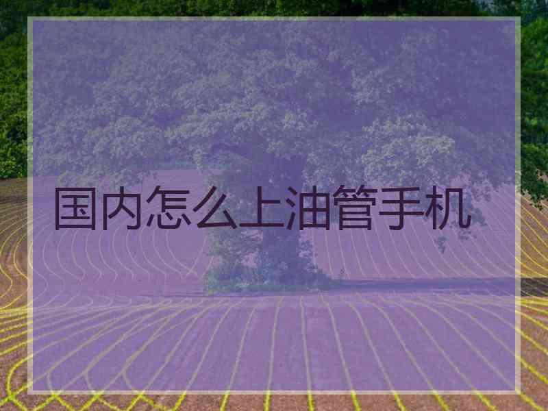 国内怎么上油管手机