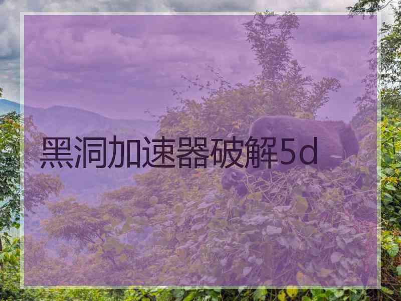 黑洞加速器破解5d