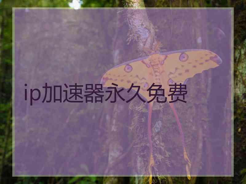 ip加速器永久免费