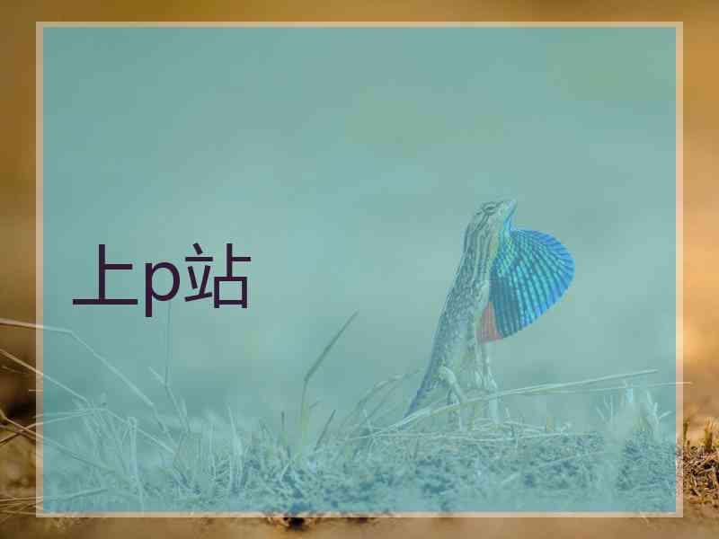 上p站