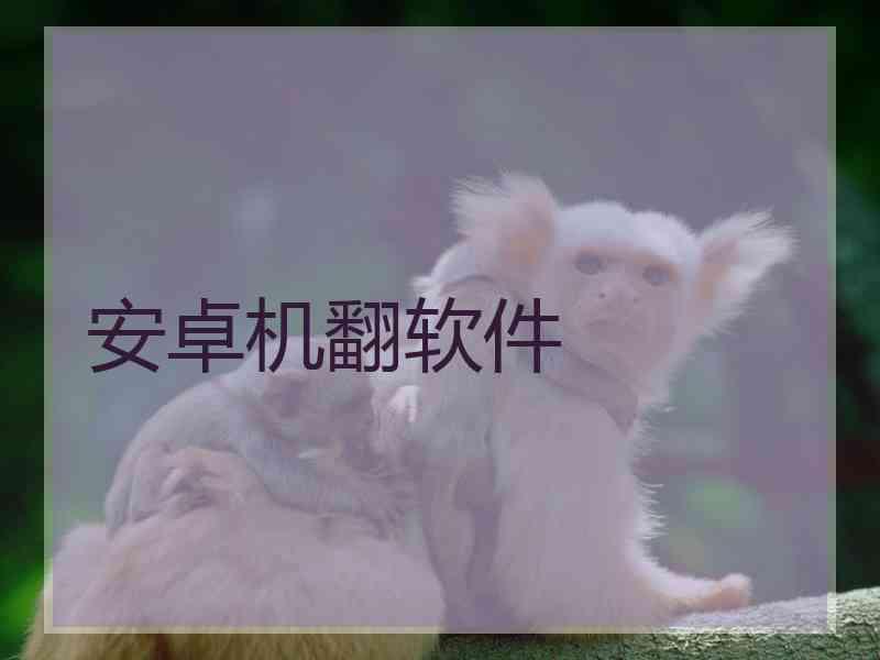 安卓机翻软件