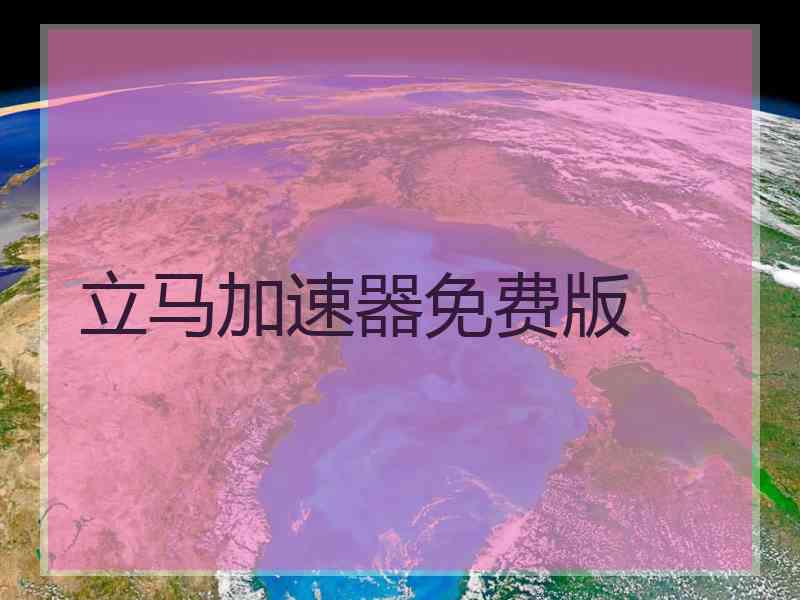 立马加速器免费版