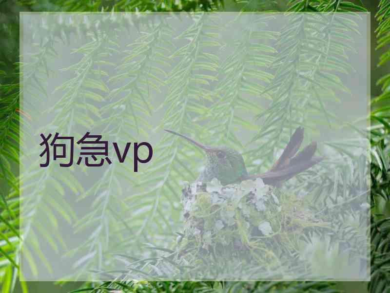 狗急vp