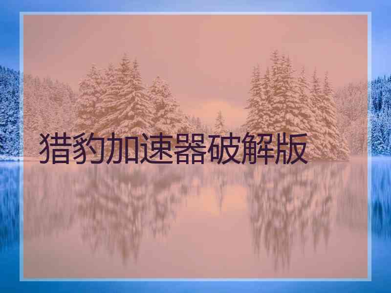 猎豹加速器破解版