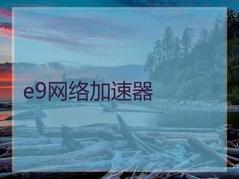 e9网络加速器