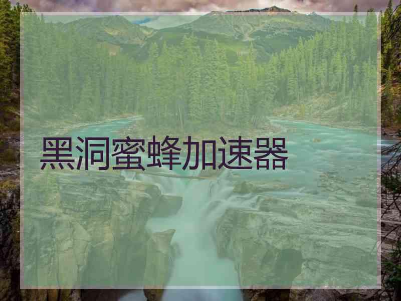 黑洞蜜蜂加速器