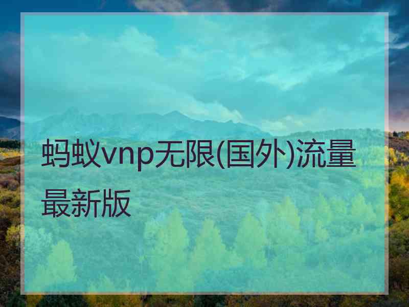 蚂蚁vnp无限(国外)流量最新版