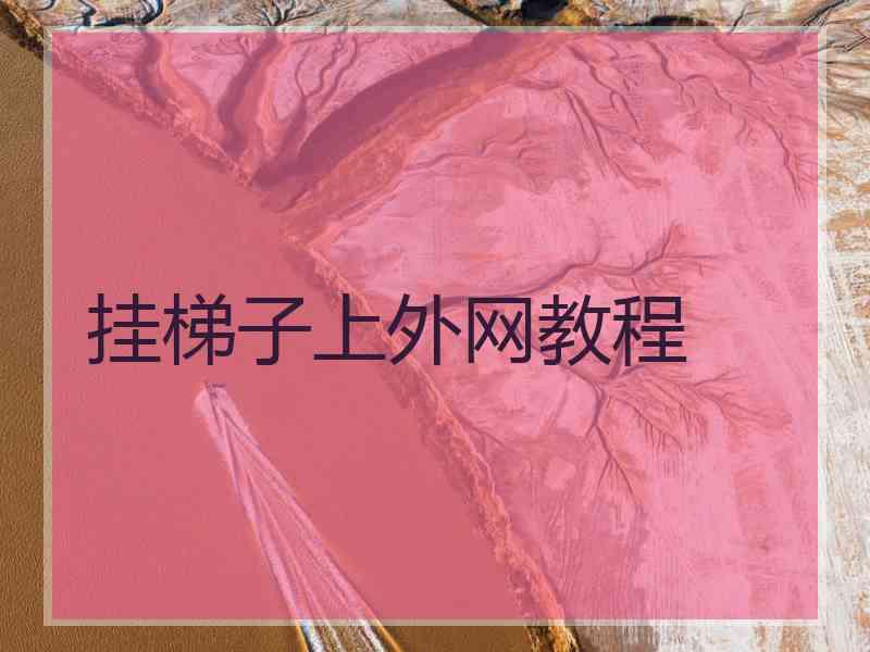 挂梯子上外网教程