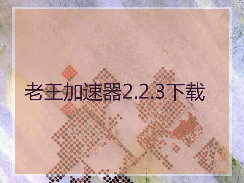 老王加速器2.2.3下载