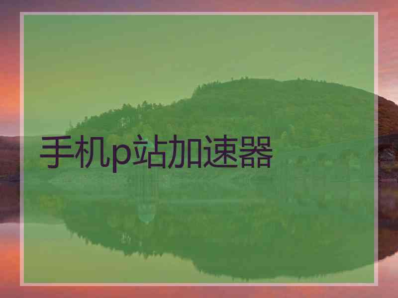 手机p站加速器