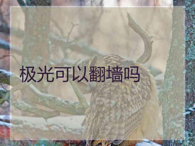 极光可以翻墙吗