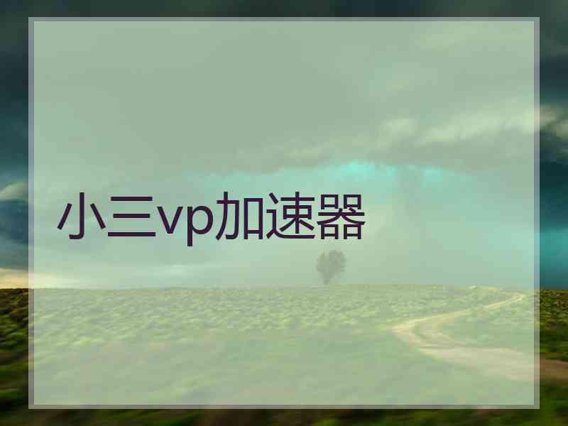 小三vp加速器