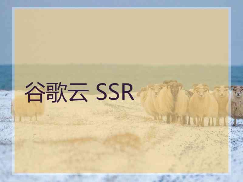 谷歌云 SSR