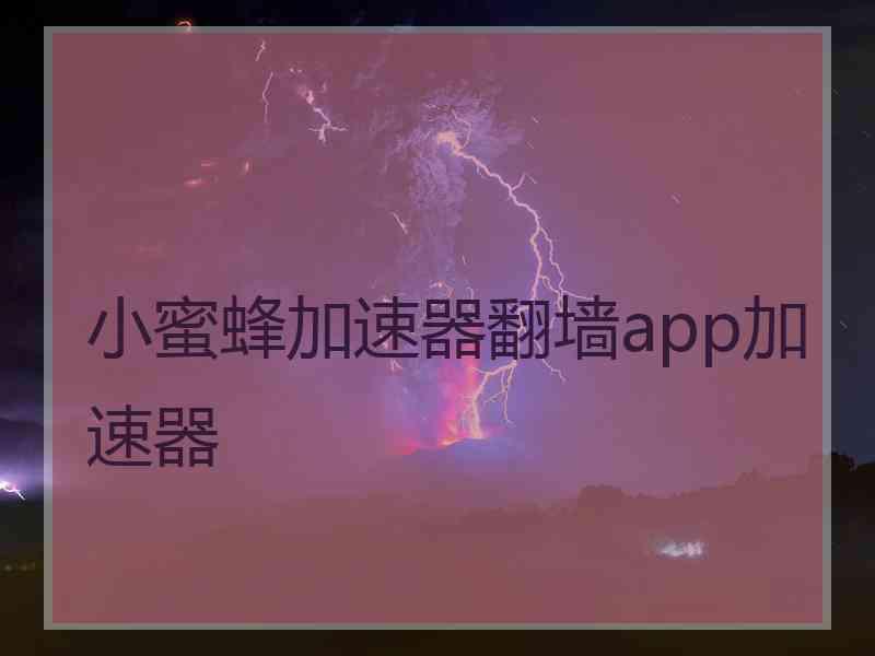 小蜜蜂加速器翻墙app加速器