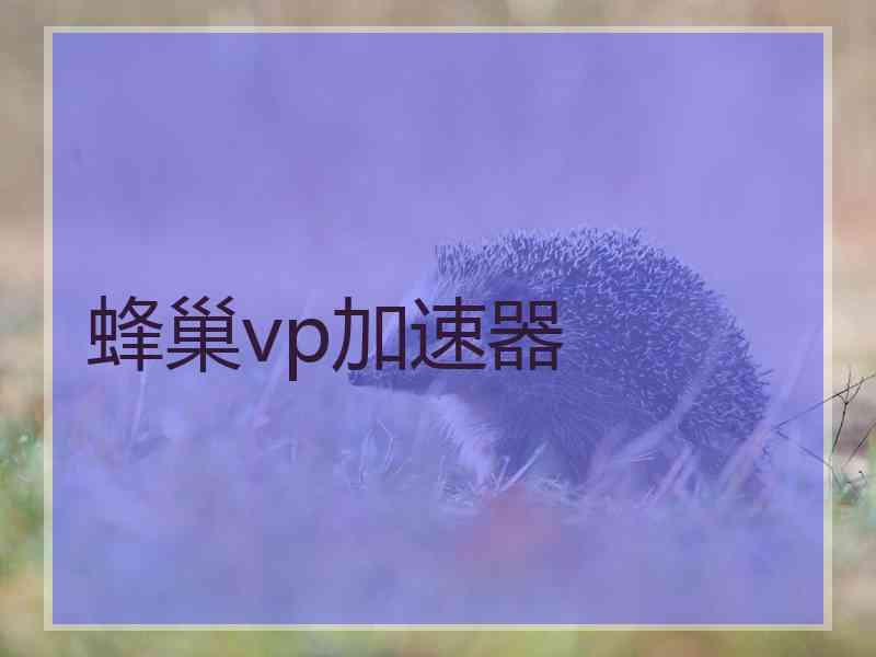 蜂巢vp加速器