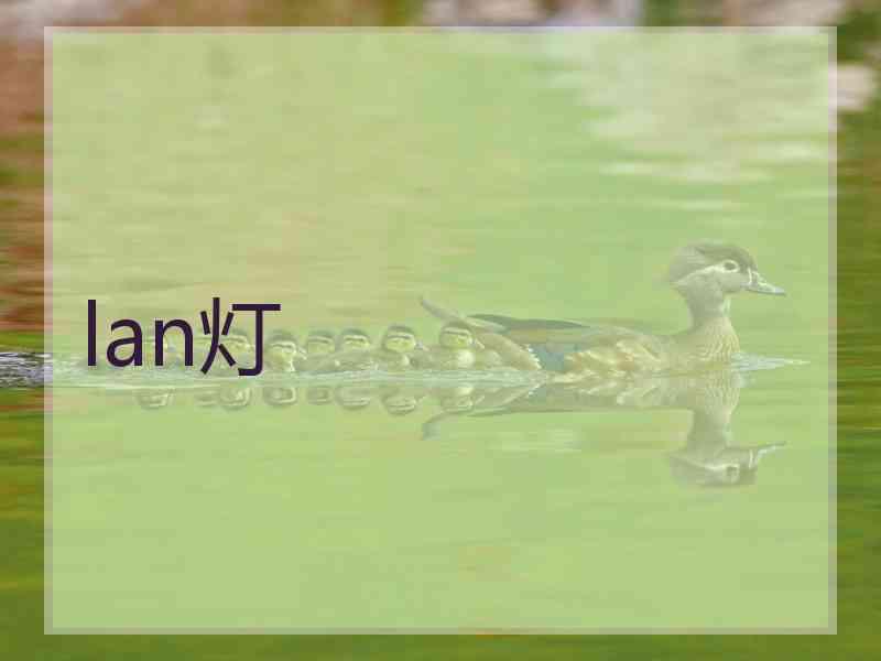 lan灯