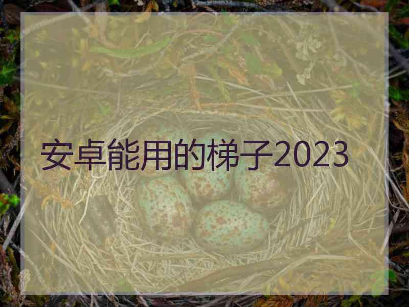 安卓能用的梯子2023