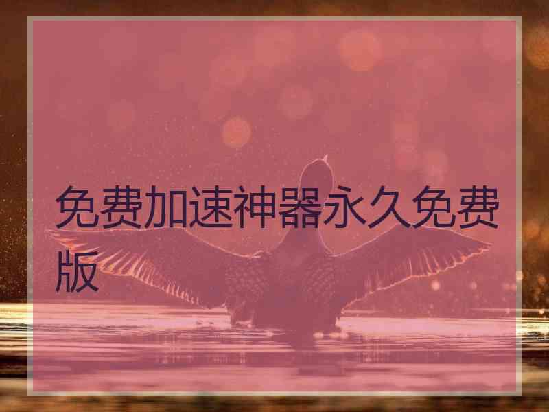 免费加速神器永久免费版