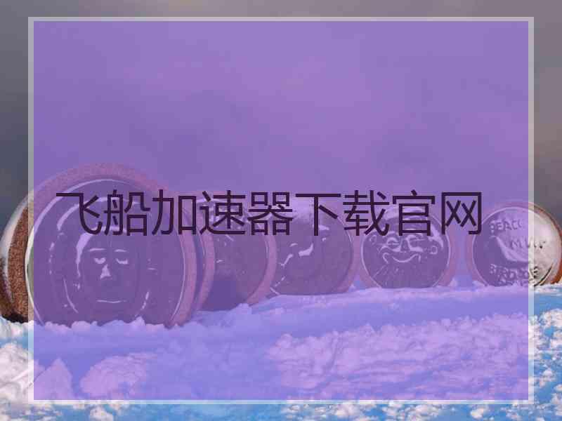 飞船加速器下载官网