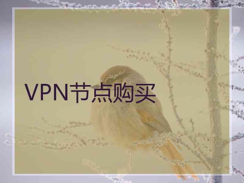 VPN节点购买