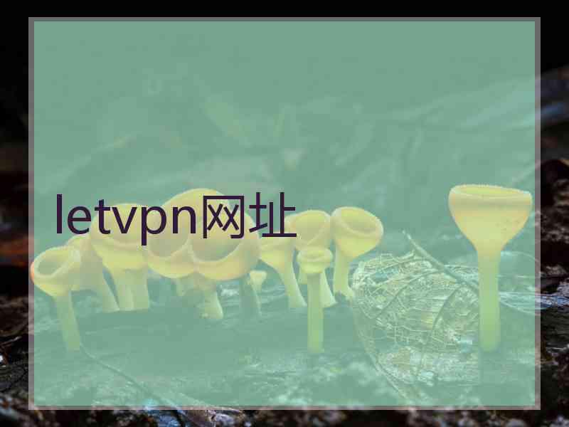 letvpn网址