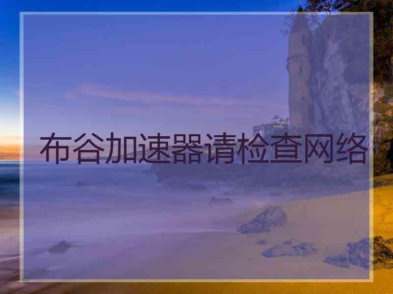 布谷加速器请检查网络
