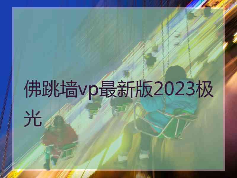 佛跳墙vp最新版2023极光