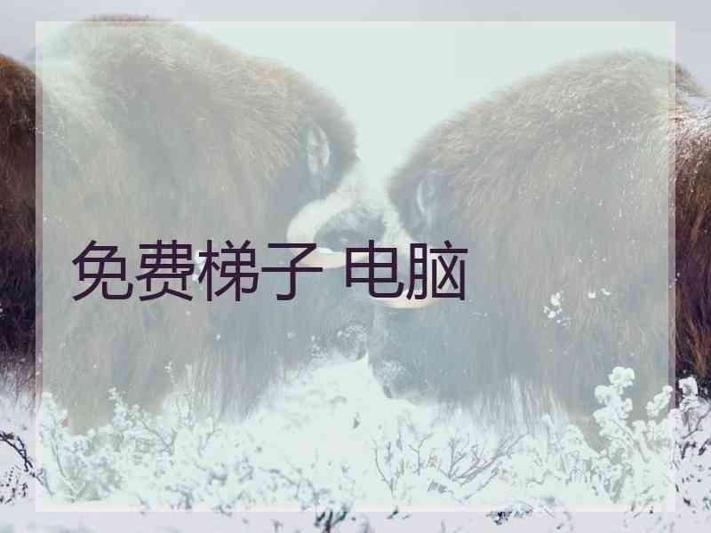 免费梯子 电脑