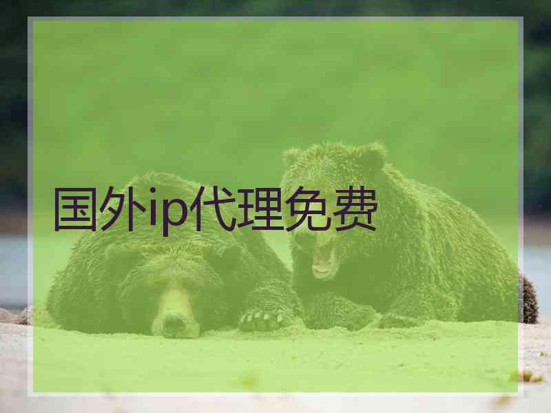 国外ip代理免费