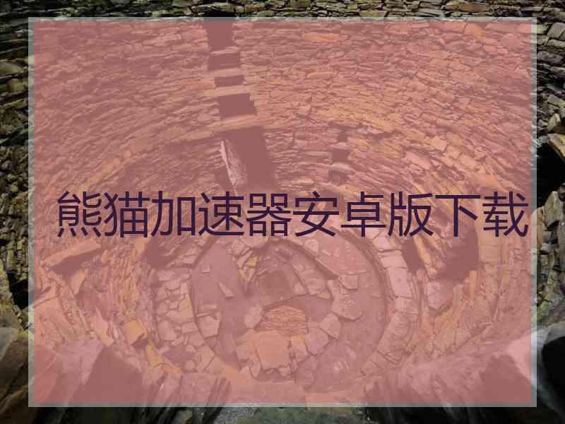 熊猫加速器安卓版下载