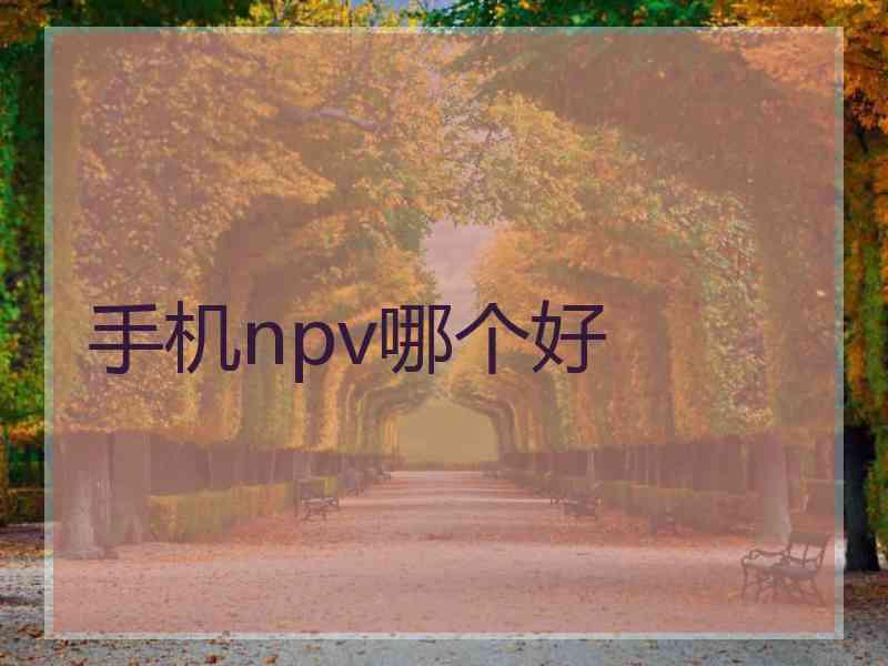 手机npv哪个好