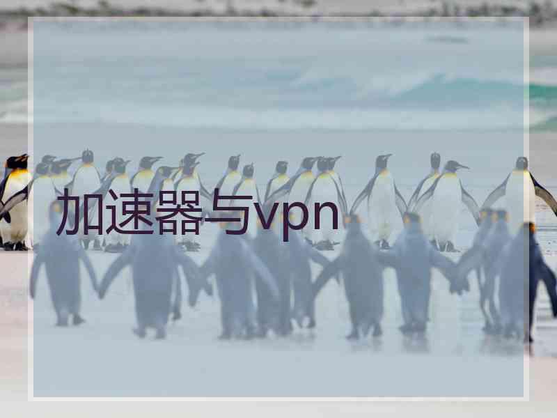 加速器与vpn