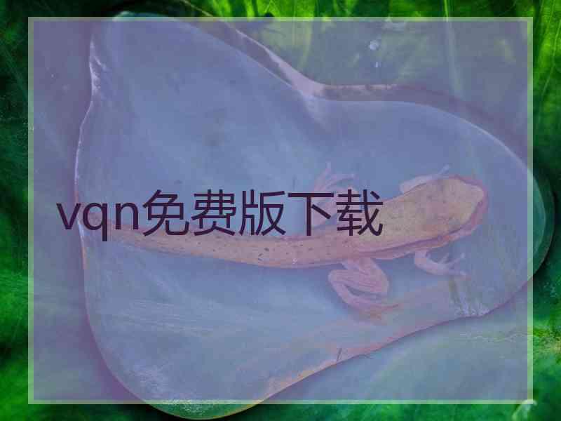 vqn免费版下载