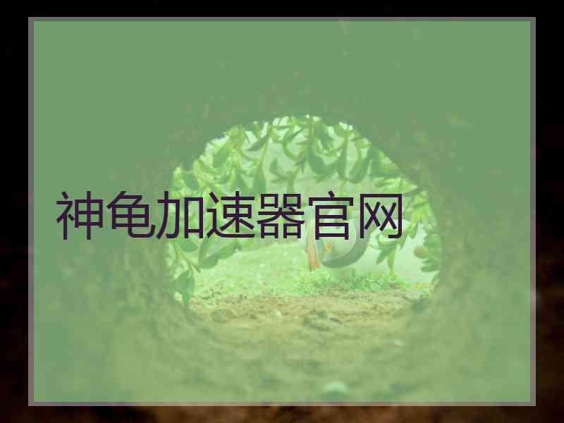 神龟加速器官网