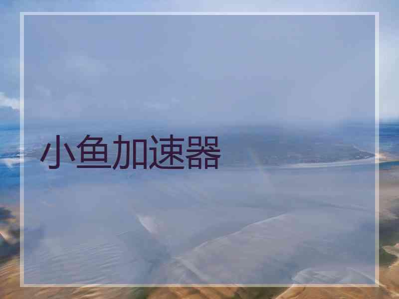 小鱼加速器