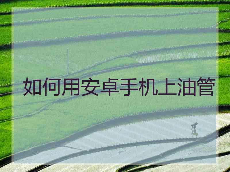 如何用安卓手机上油管