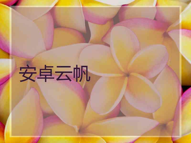 安卓云帆