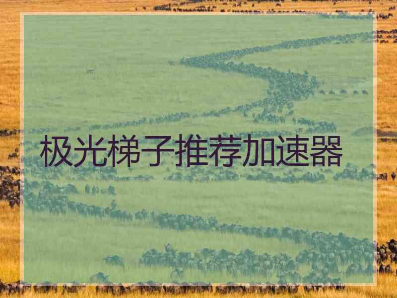 极光梯子推荐加速器