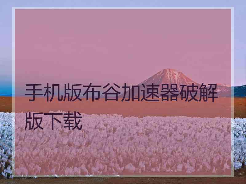 手机版布谷加速器破解版下载