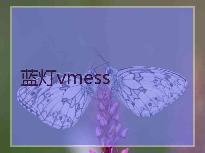 蓝灯vmess